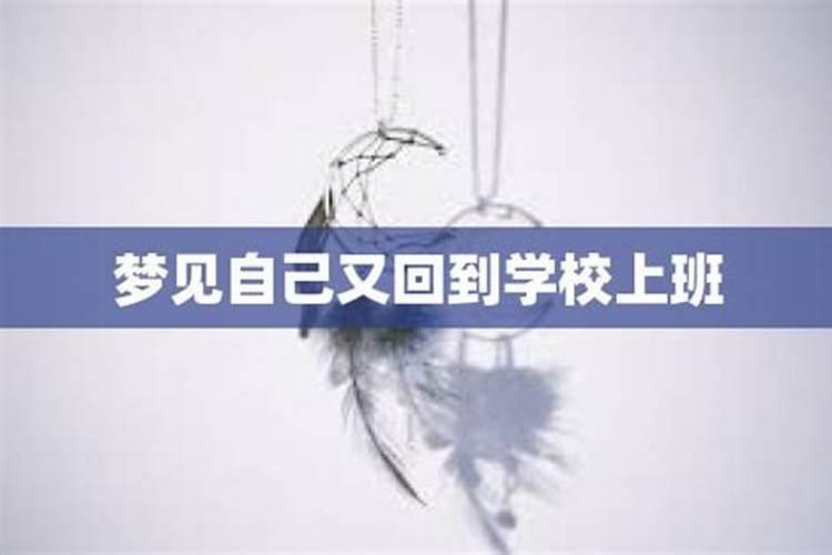 79年属羊男在2025年的运势和财运