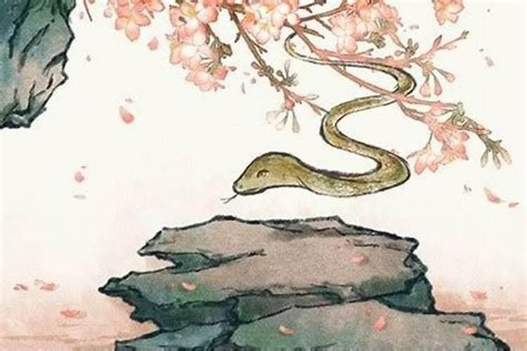 生肖羊2025年运势 属羊2025年运势及运程