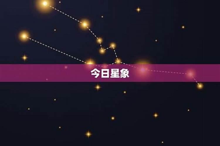 女摩羯座今日运势