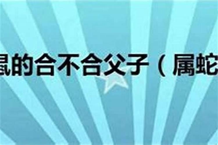 春节的来历是什么