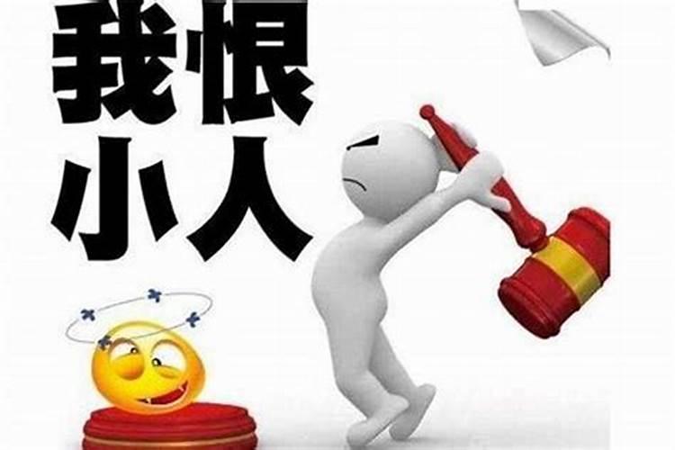 猫什么季节生小猫最好