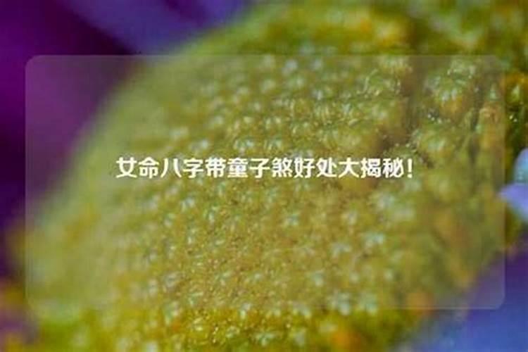 明年什么时候立春
