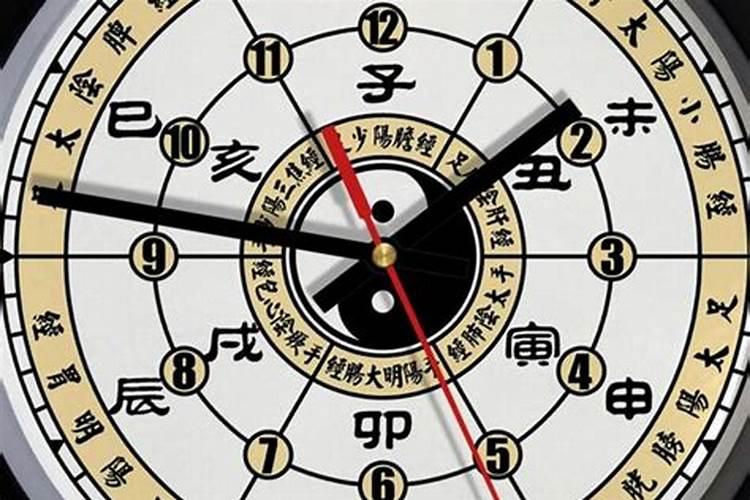 冬天生小猫怎么保暖