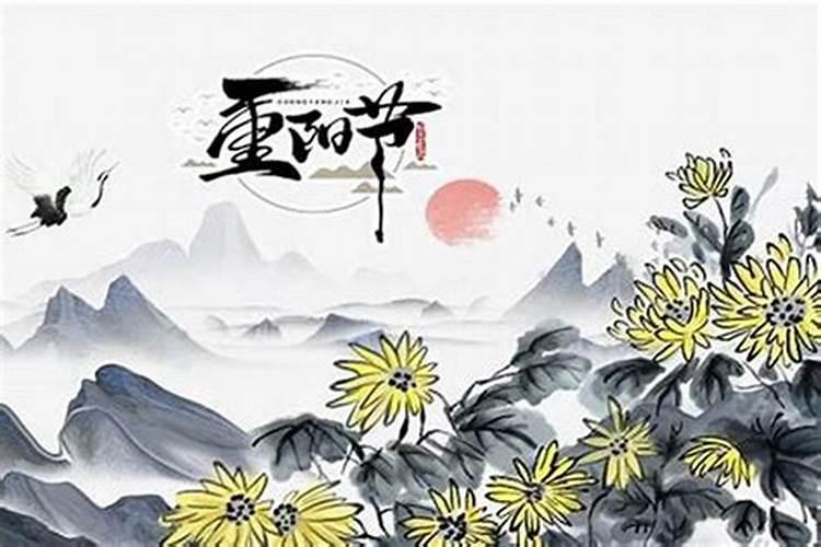 冬天出生的小猫怎么才可以让它不死掉？