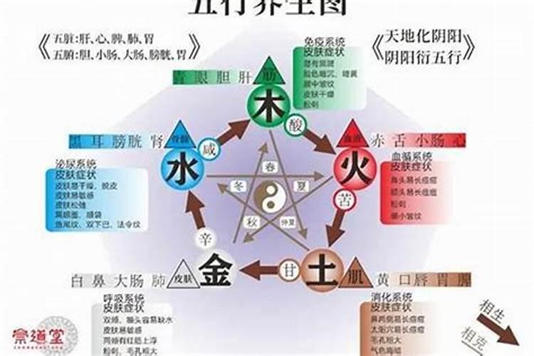 五行土旺缺木,求大师解答我是属什么的 需要补什么