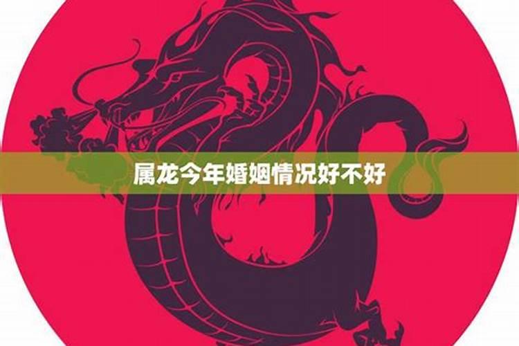 明年什么时候立春
