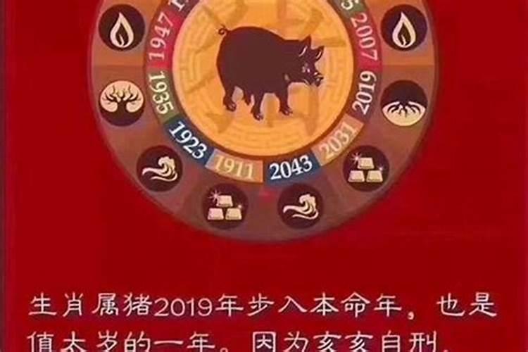冬至生女孩叫什么名字好听