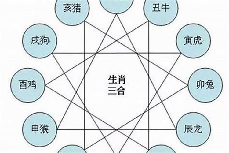 适合养鱼的属相有哪些属相的人养什么鱼招财