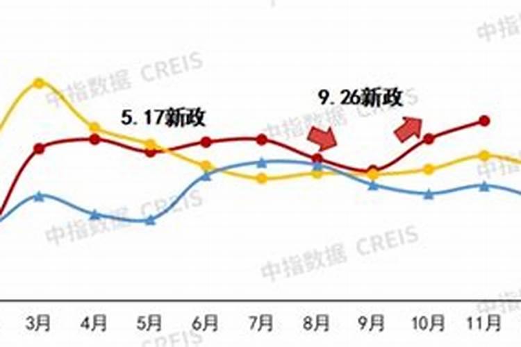 生肖猪2025年运势 属猪2025年运势及运程
