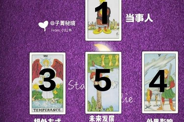 李云天塔罗牌2025年6月生肖运势