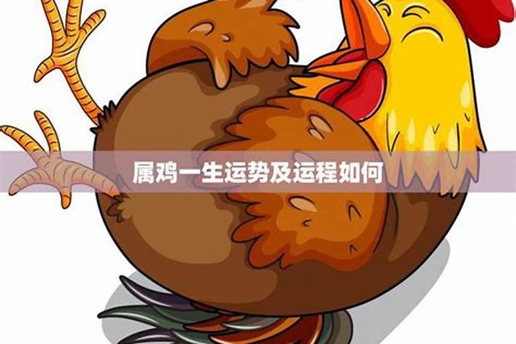 2025年属蛇本命年犯太岁吗