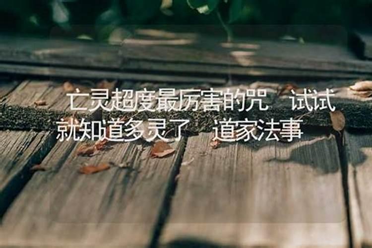 2025年范太岁属相有几个