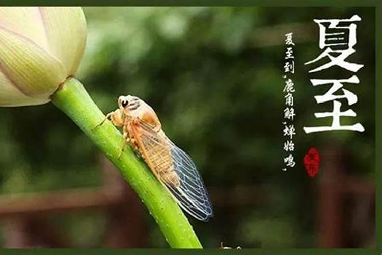 夏至出生的牛宝宝好吗八字与美名分析