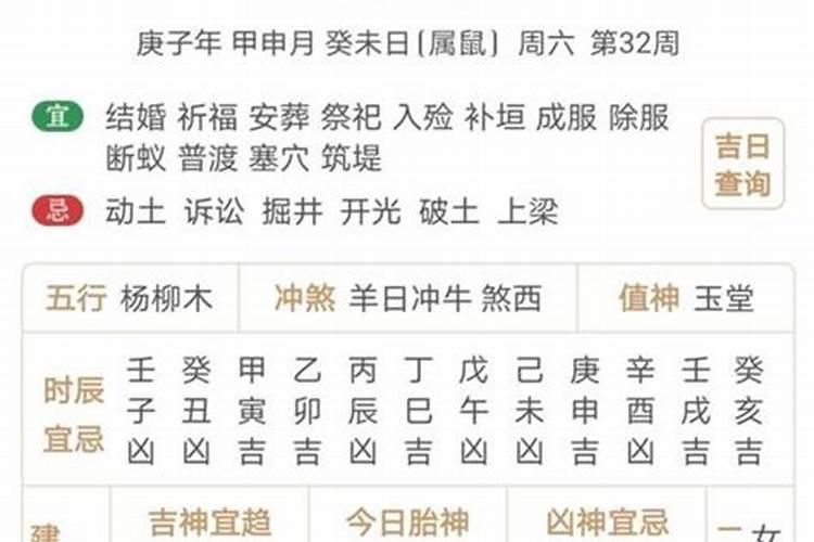 生肖猪2025年运势 属猪2025年运势及运程