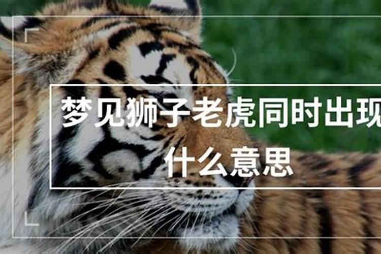 属虎的2025年犯太岁吗