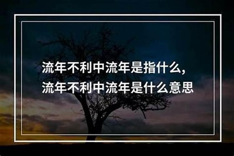 六六年的女马晚年有福吗