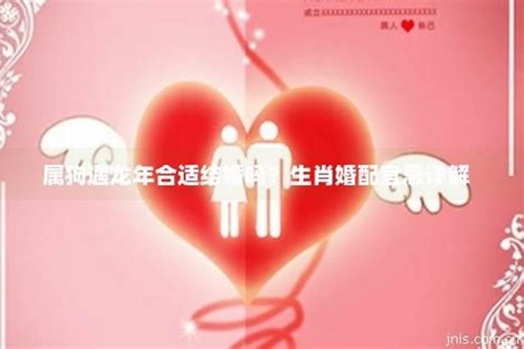 龙年犯太岁属相