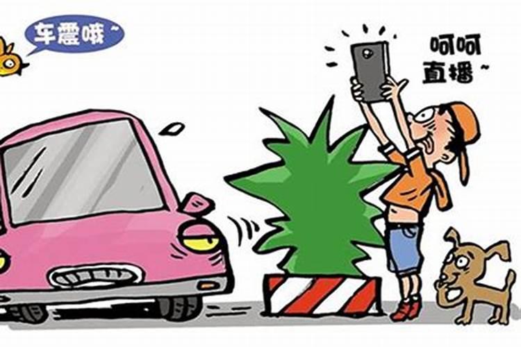 腊月代表哪个生肖动物
