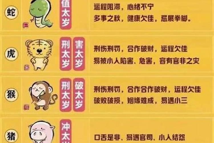 2025猪冲太岁戴什么