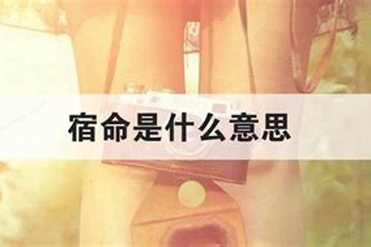 2025年农历几月出生的蛇宝宝命最好
