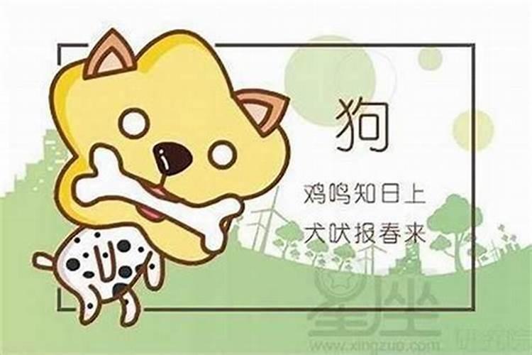 属马人2025年全年运势运程