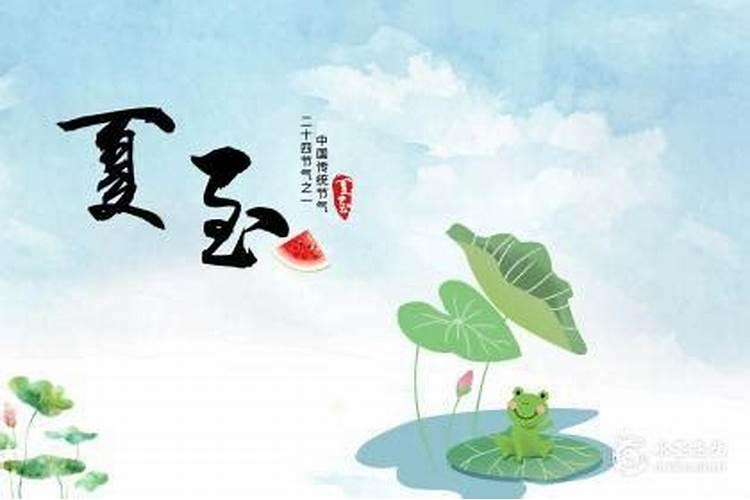 夏至出生的人阳气重