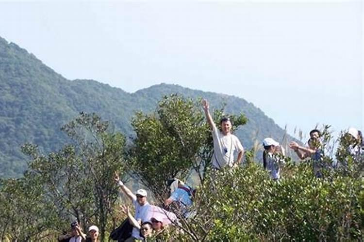 北京重阳节登高郊游好地方？