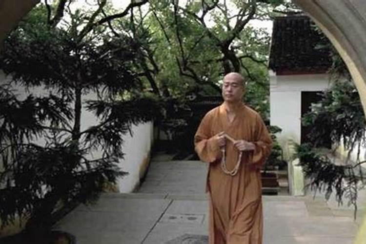 普陀山哪个寺庙同时有和尚和尼姑