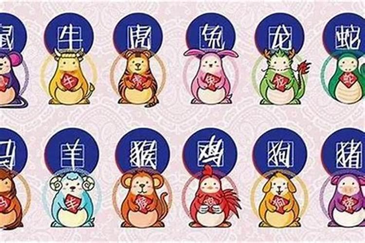 2025年各属相运势及运程