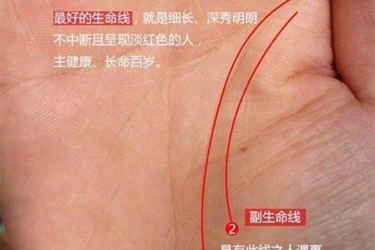 寿命短的人的手相有什么特征？