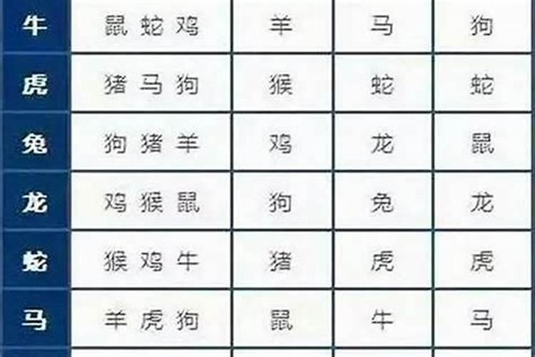 属鼠的人适合找什么属相