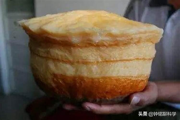 太岁是什么东西 太岁有什么功效