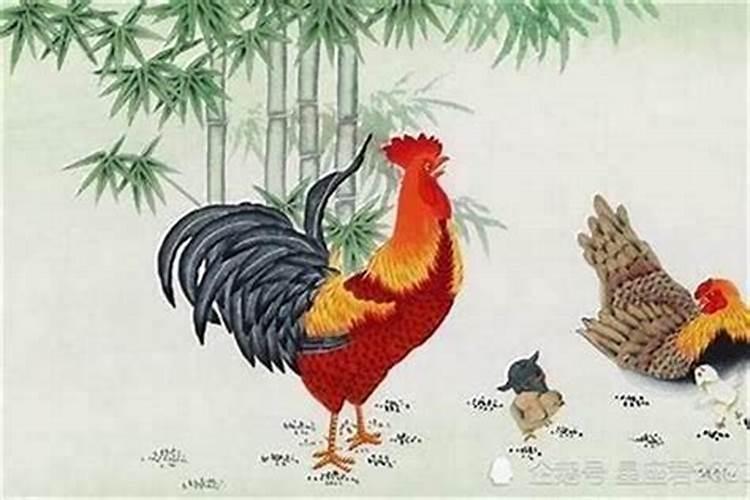 本命年蛇年犯太岁怎么化解