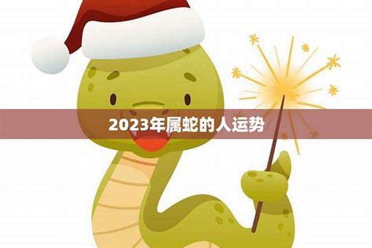 2025年犯太岁的生肖蛇怎么化解 2025年犯太岁的生肖蛇怎么躲星