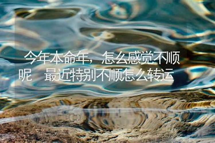 在德州齐河哪里算命最准？(最好靠近县城)