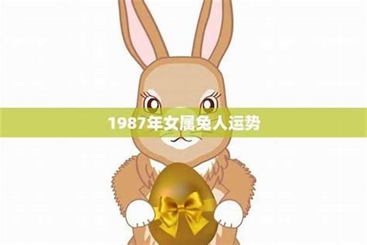 2025年属兔女1987全年运势