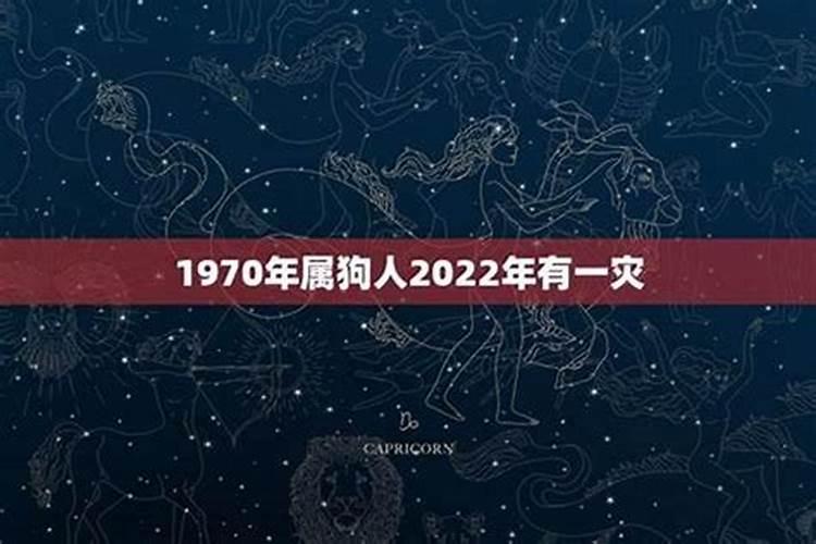 70年属狗55岁女2025全程运势