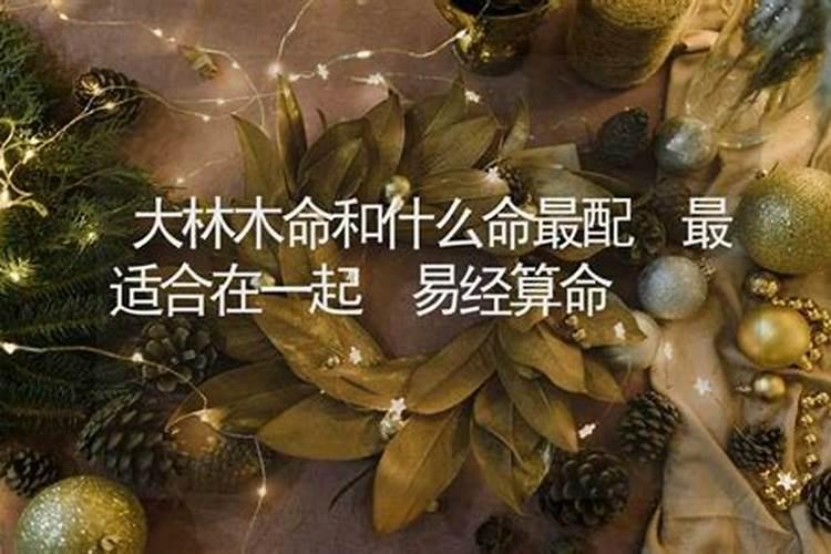 炉中火和大林木的姻缘 炉中火对大林木不利吗