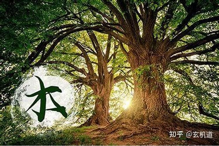 姻缘算命:路旁土和大林木配不配 两人有缘分吗