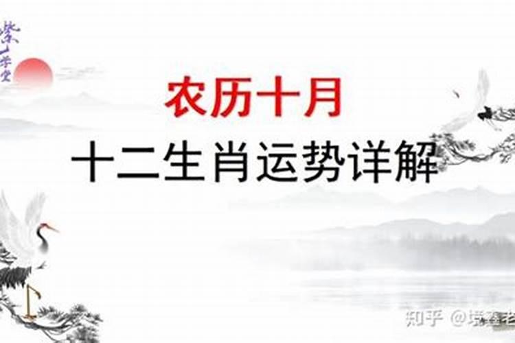 1991年阴历10月25四点的羊五行缺什么