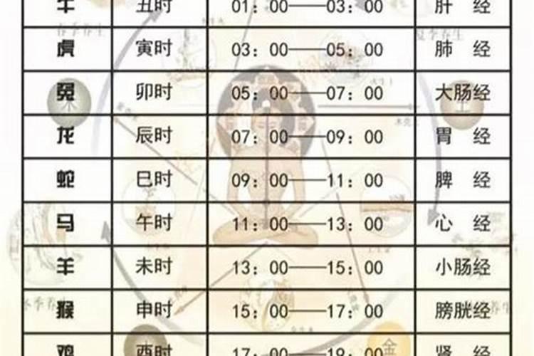 吉:子时、丑时、寅时、辰时、酉时分别指几点？