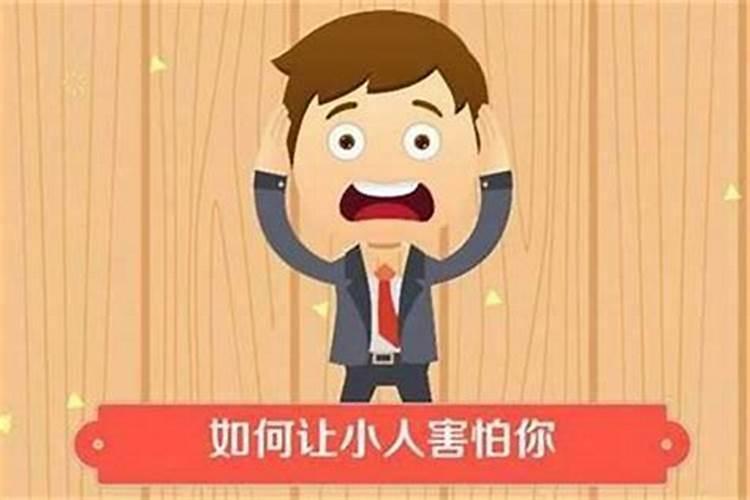 2024年猪犯太岁吗 属猪人如何化解太岁