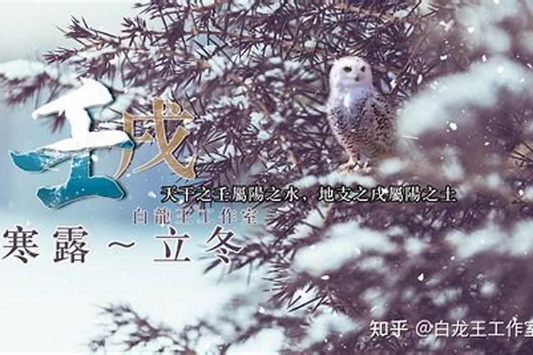 1982年属狗阴历4月23日5`6点生的在2o15年的运程乍