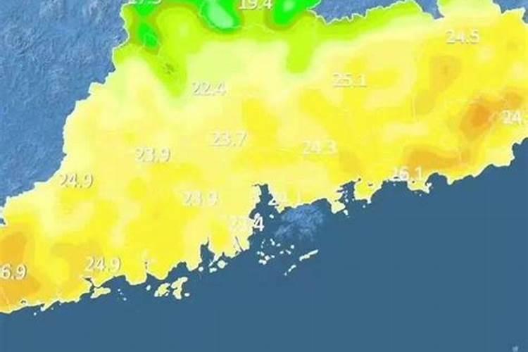 增城十宝增城菜心