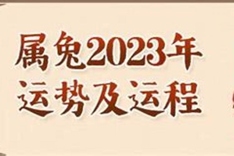 属兔2025年5月15日运势