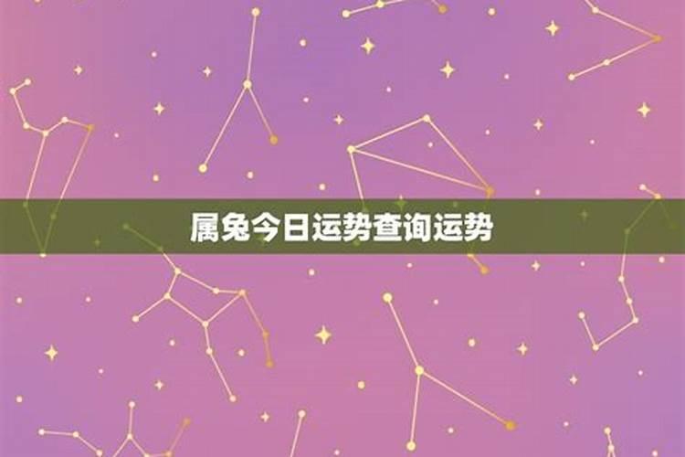 属兔人今日运势(属兔人今日打麻将运势及偏财运如何)