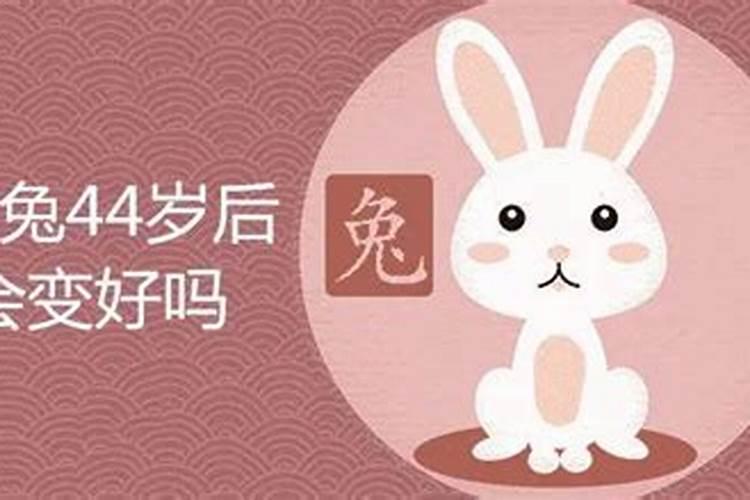 属兔2025年5月21日运势