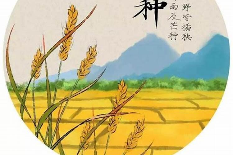 夏季节气及夏季岁时习俗有哪些？