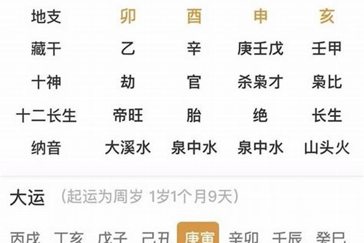 必二婚的日柱