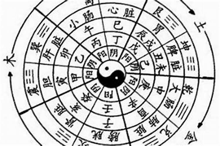 干支自合有什么用